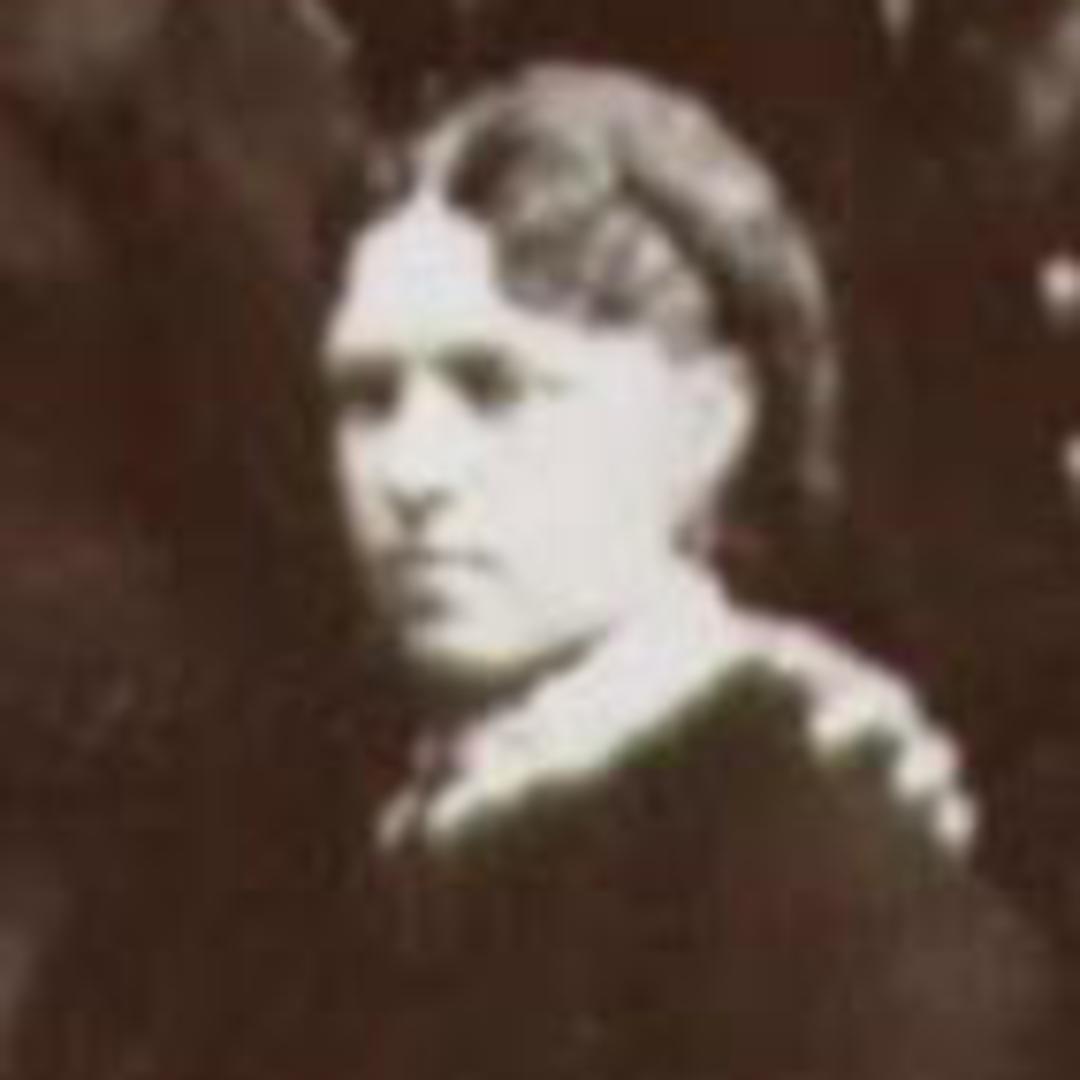 Ellen Emily Culmer (1859 - 1910) Profile